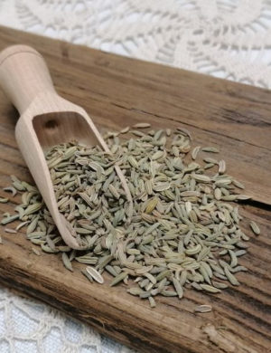 Fenchel
