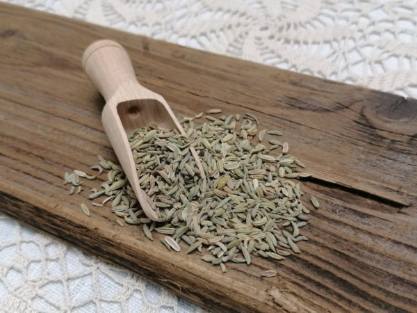 Fenchel