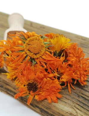 Ringelblume