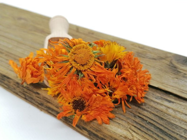 Ringelblume