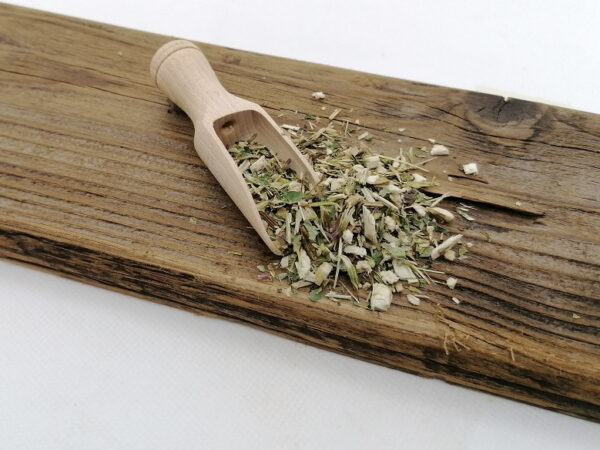 Purpur-Sonnenhut / Echinacea (Kraut)